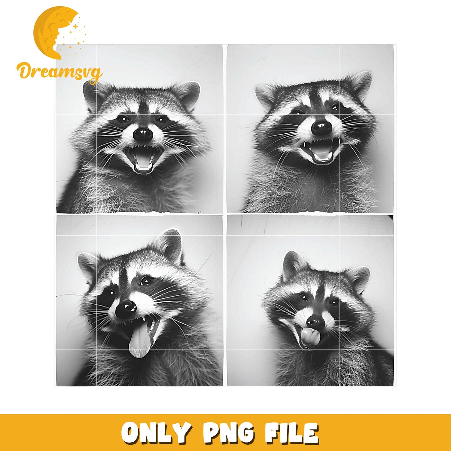 Option 1 (Focus on animal) Cute Raccoon PNG Images, Black & White