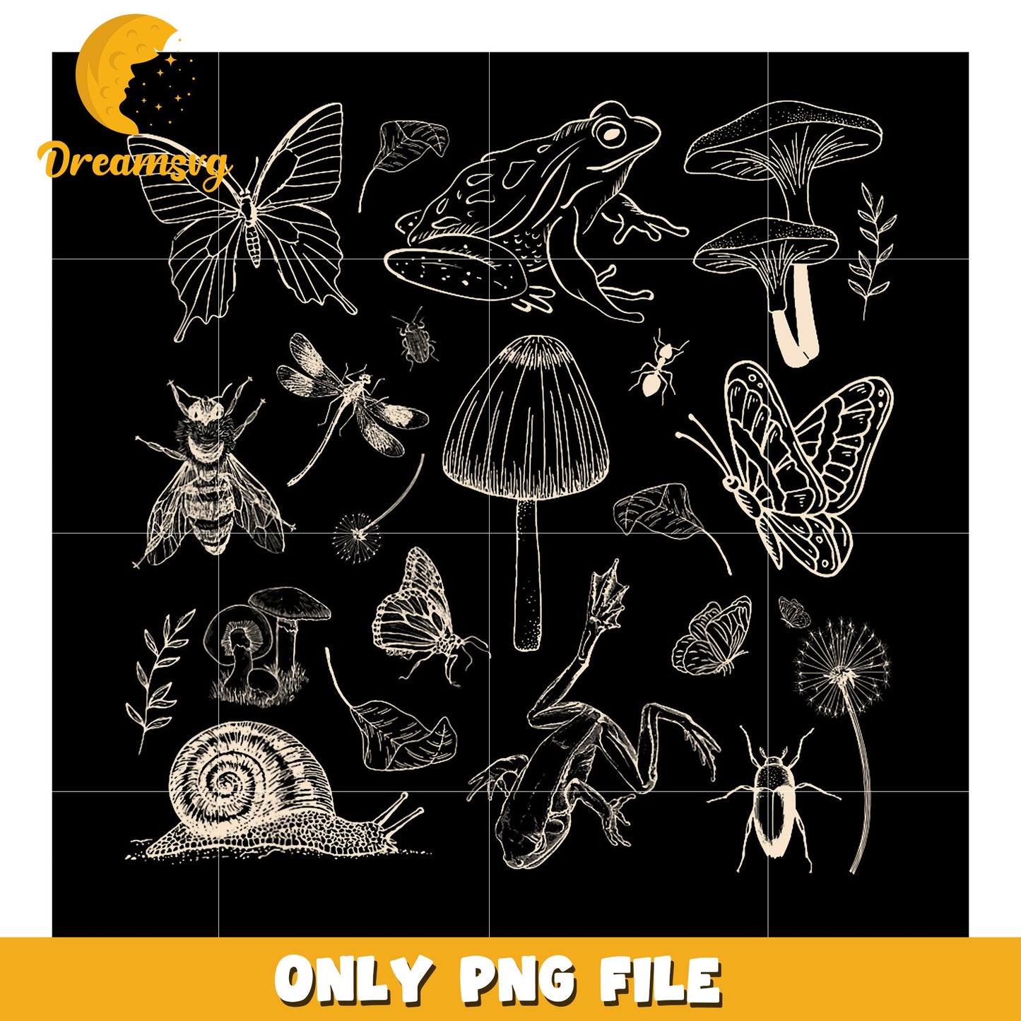 Option 1 (Focus on keywords) Dark Academia PNG Insects, Frogs, Mushrooms
