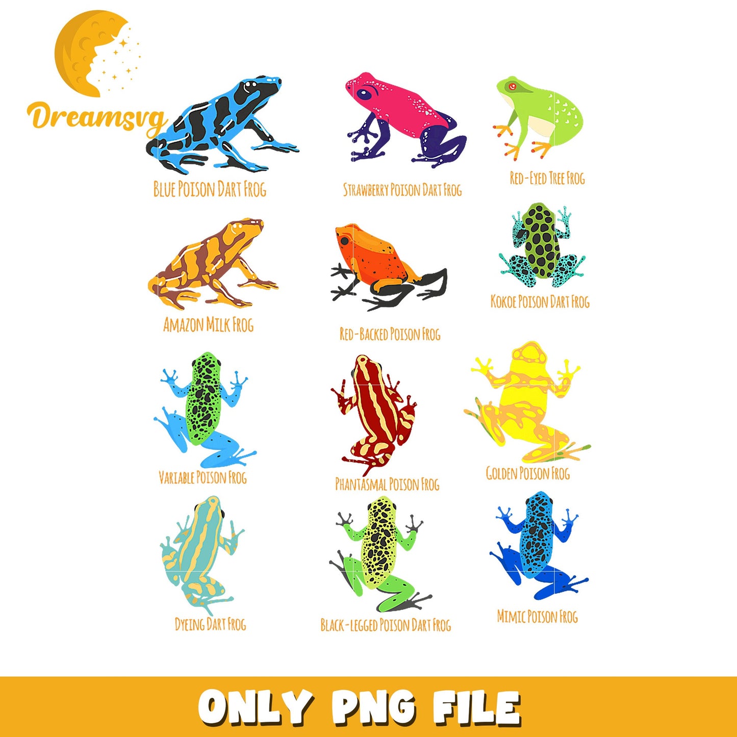Poison Dart Frogs PNG Clipart Set