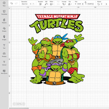 Ninja Turtle Svg, Ninja Turtles Png, Teenage Mutant Ninja Turtle Svg, Ninja Turtle SVG for Cricut, Silhouette Vector Cut Files