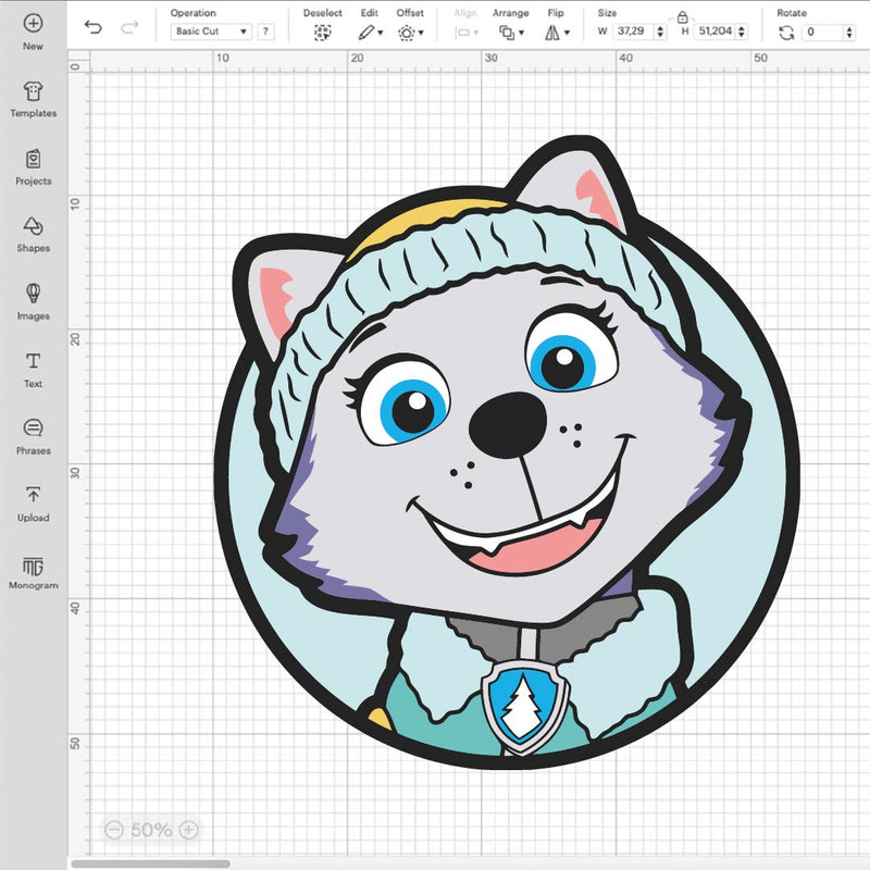 Everest Paw Patrol Png, Paw Patrol Svg, Paw Patrol Png, Paw Patrol Everest Png