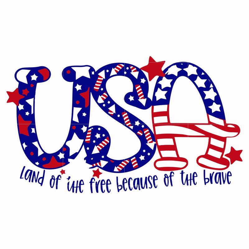 USA FIREWORK svg, png, dxf, eps, digital file JULY0019