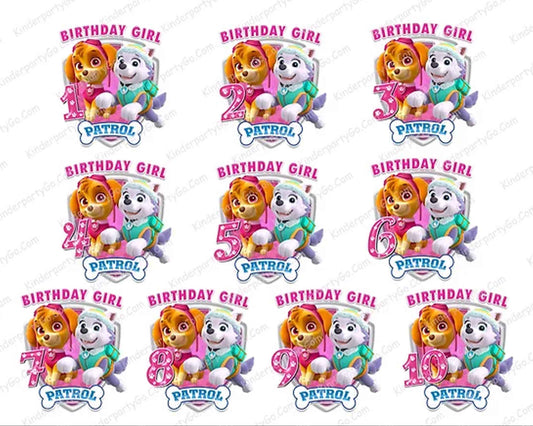 35 Paw Patrol PNG Bundle, Birthday girl png, Bundle designs, digital download.