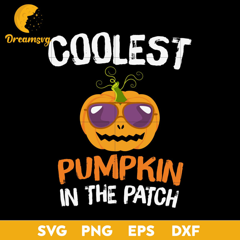 Coolest pumpkin in the patch svg, Halloween svg, png, dxf, eps digital file.