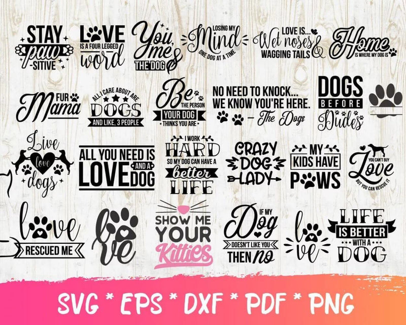 Cat PNG & SVG Bundle 200+ Files For Cricut & Silhouette