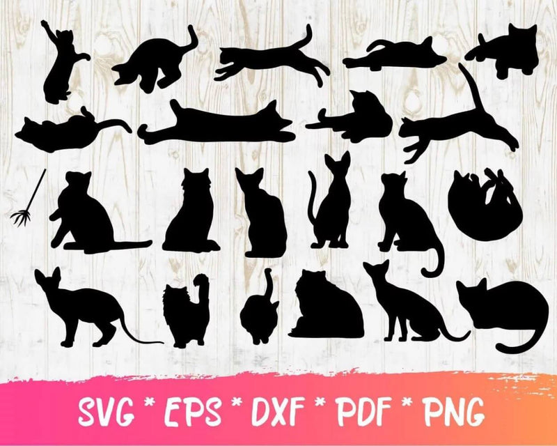 Cat PNG & SVG Bundle 200+ Files For Cricut & Silhouette