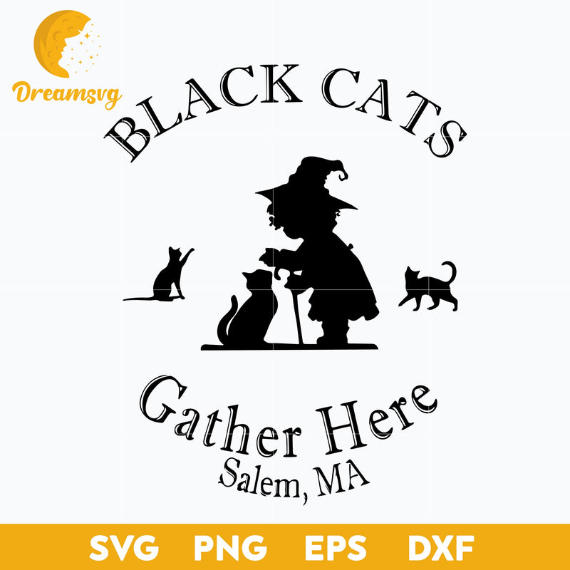 Black Cats Gather Here Salem Ma Halloween Witch svg, Halloween svg, png, dxf, eps digital file.