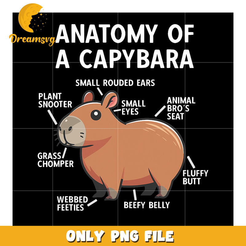 Capybara Anatomy PNG Funny Animal Diagram