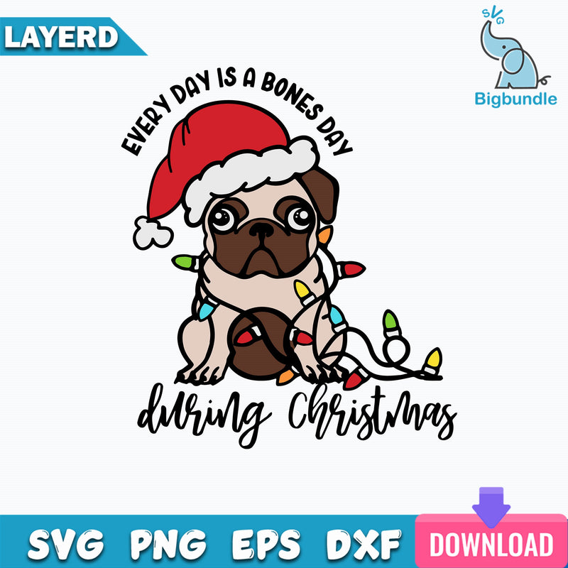 Everyday is a Bones Day Svg, Dog Christmas Svg