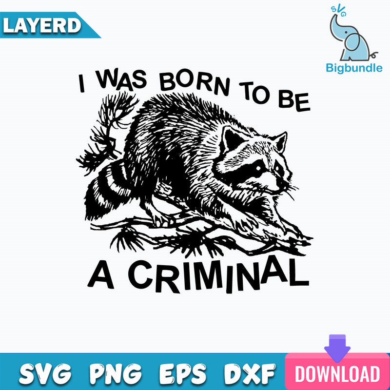 Raccoon I Was Born To Be A Criminal SVG, Opossum Funny Graphic SVG