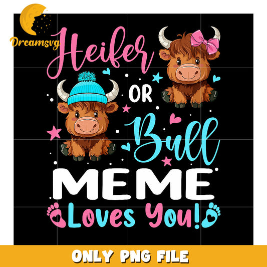 Heifer or Bull Gender Reveal PNG