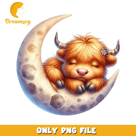 Highland Cow Moon PNG Cute Baby Cow Sleeping