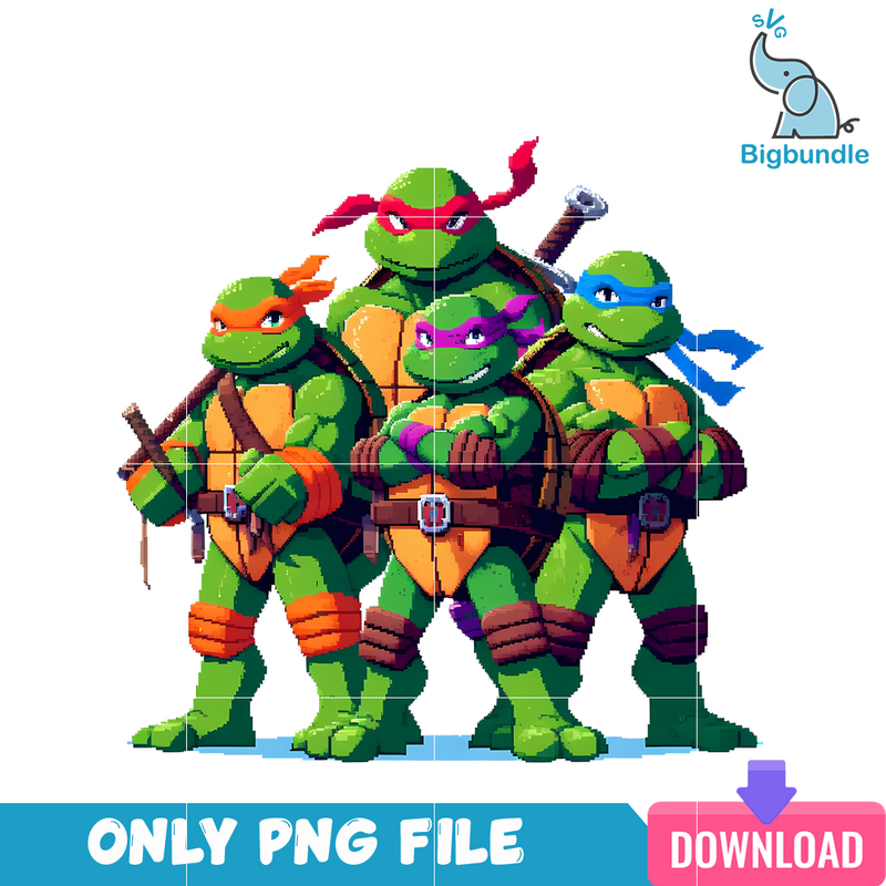 Ninja Turtle Brothers PNG