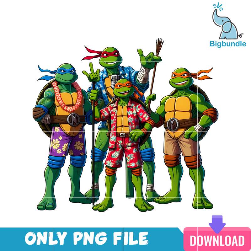 Summer Ninja Turtle PNG