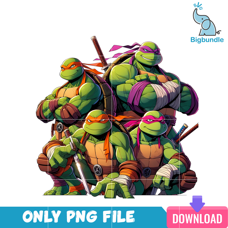 Ninja Turtle Bros PNG