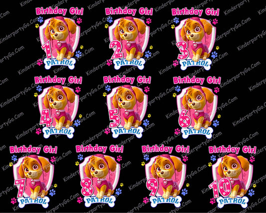 38 Paw Patrol PNG Bundle, Birthday girl png, Bundle family designs, digital download.
