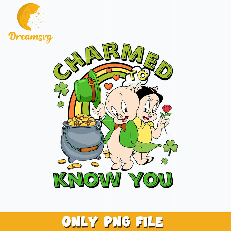 Porky charmed know you patrick's day Png