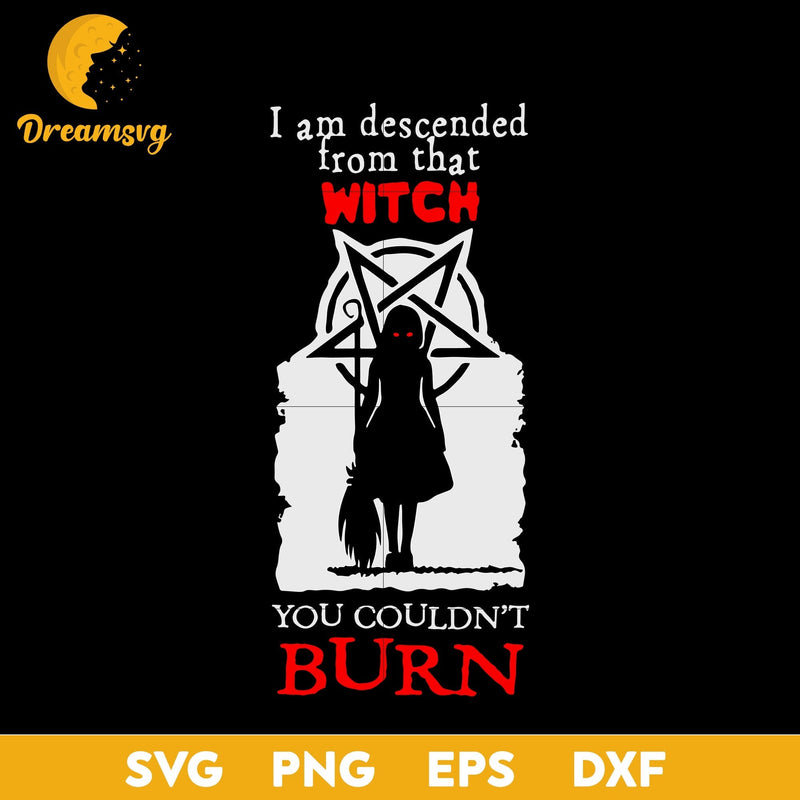 I am descended from that witch svg, Halloween svg, png, dxf, eps digital file.