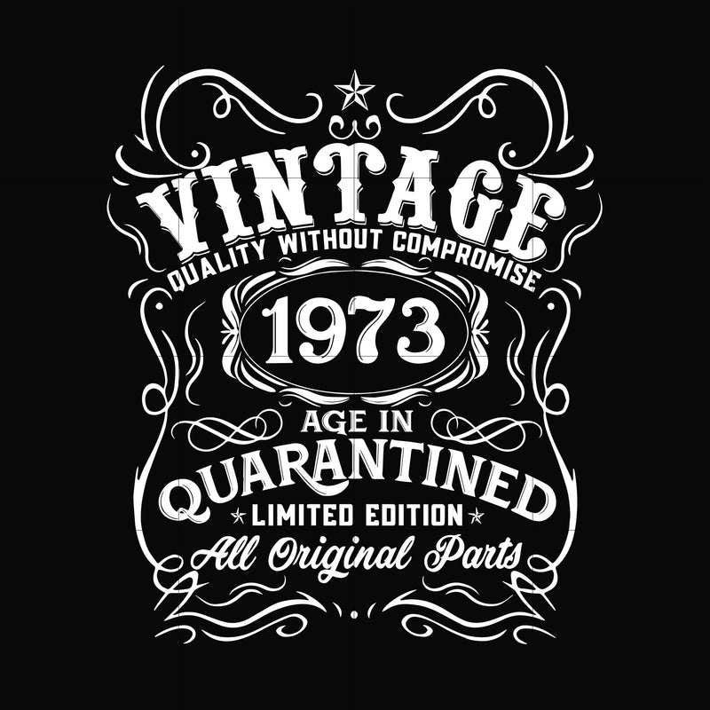 Vintage 1973 age in quarantined limited edition svg, limited edition svg, 1973 birthday svg, png, dxf, eps digital file NBD0100